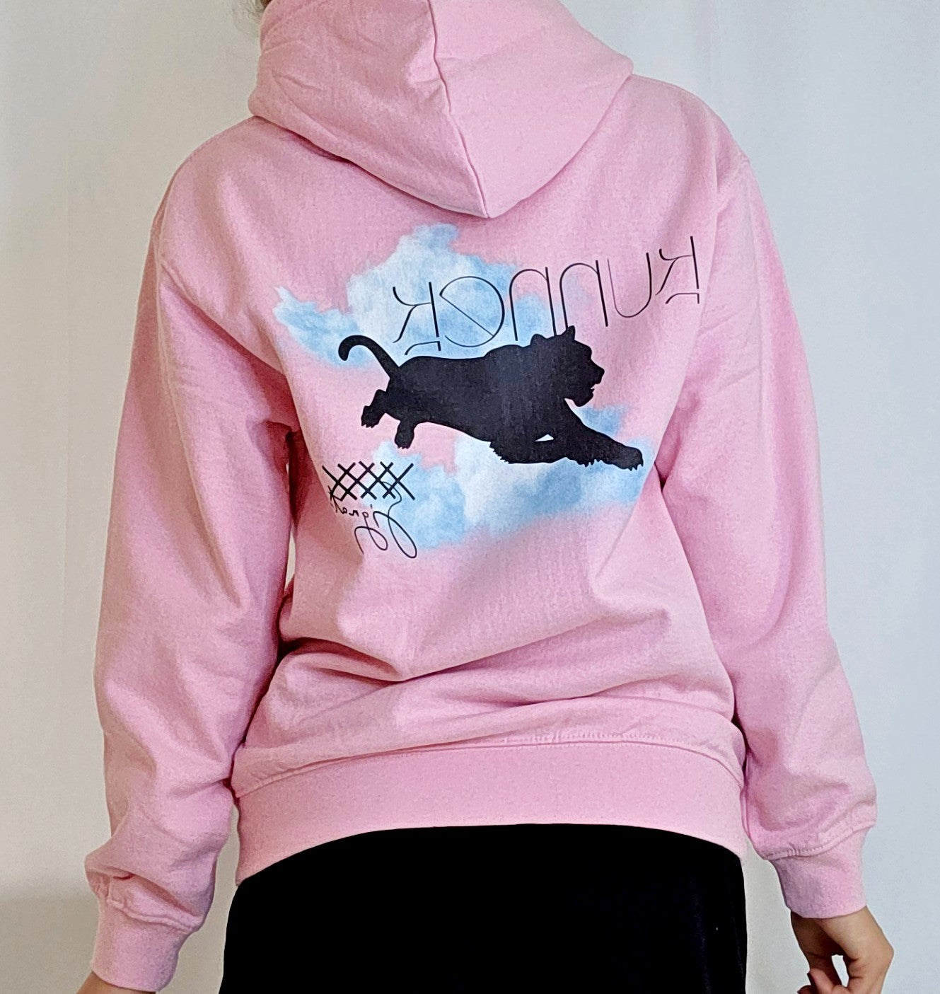 College Hoodie 1.0